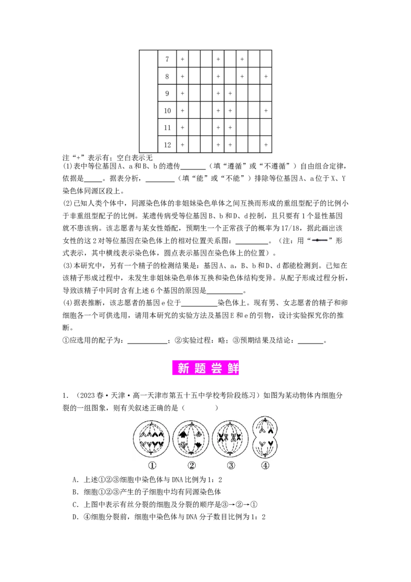 专题10细胞的增殖（原卷版）_2024年新高考资料_1.2024一轮复习_备战2024年高考生物一轮复习抢分特训（全国通用）_专题10+细胞的增殖-备战2024年高考生物一轮复习抢分特训（全国通用）