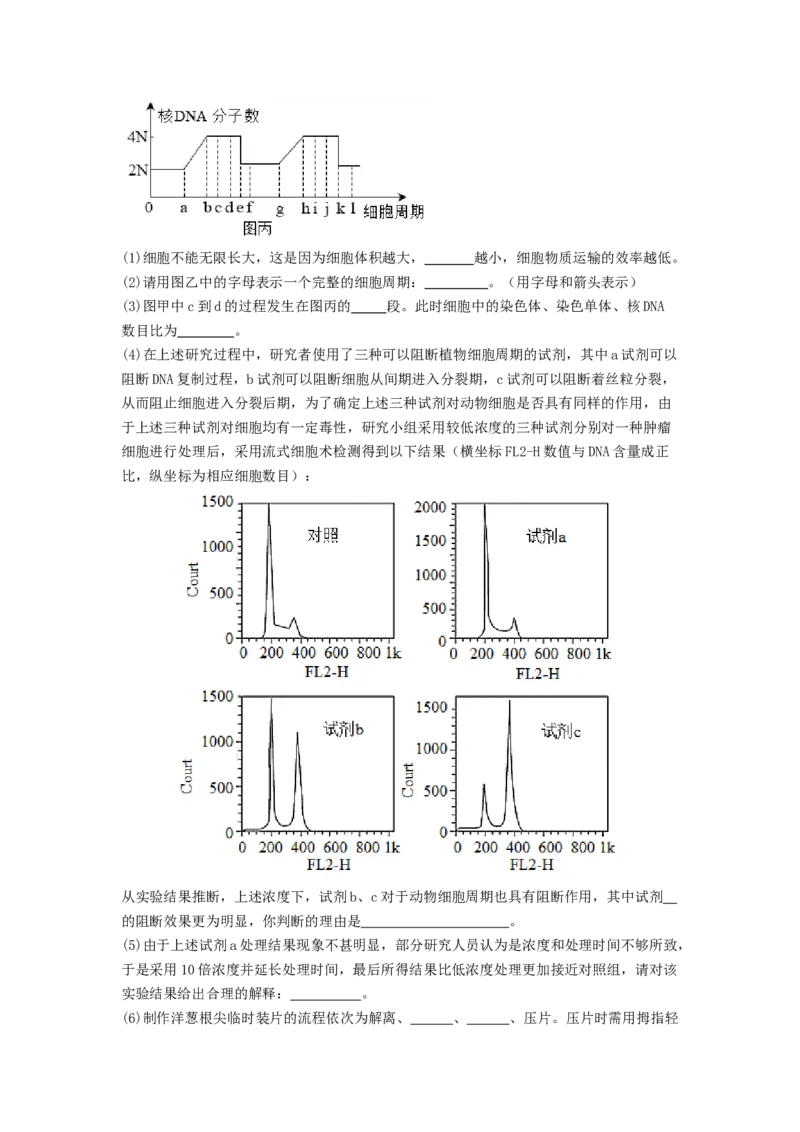 专题10细胞的增殖（原卷版）_2024年新高考资料_1.2024一轮复习_备战2024年高考生物一轮复习抢分特训（全国通用）_专题10+细胞的增殖-备战2024年高考生物一轮复习抢分特训（全国通用）