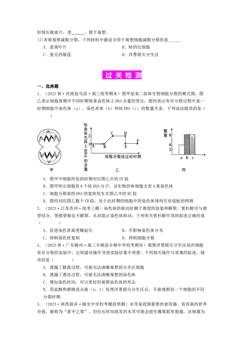 专题10细胞的增殖（原卷版）_2024年新高考资料_1.2024一轮复习_备战2024年高考生物一轮复习抢分特训（全国通用）_专题10+细胞的增殖-备战2024年高考生物一轮复习抢分特训（全国通用）