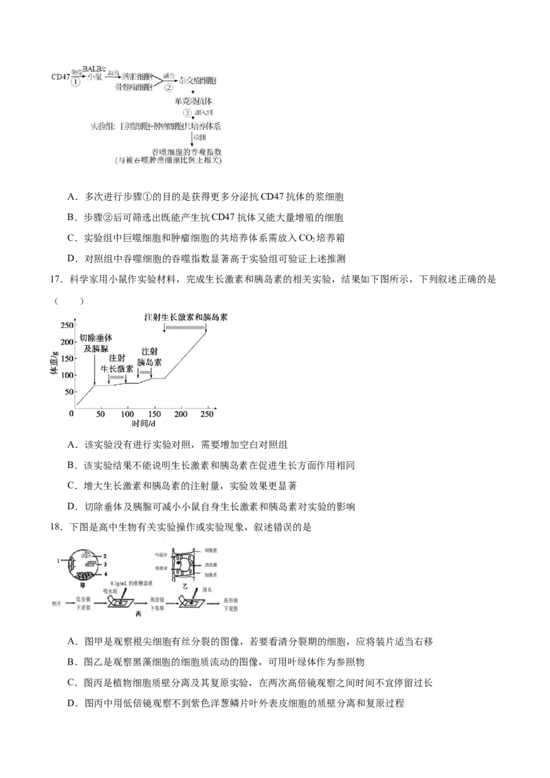 专题九实验与探究（测试）（原卷版）_2024年新高考资料_2.2024二轮复习_2024年高考生物二轮复习讲练测（新教材新高考）