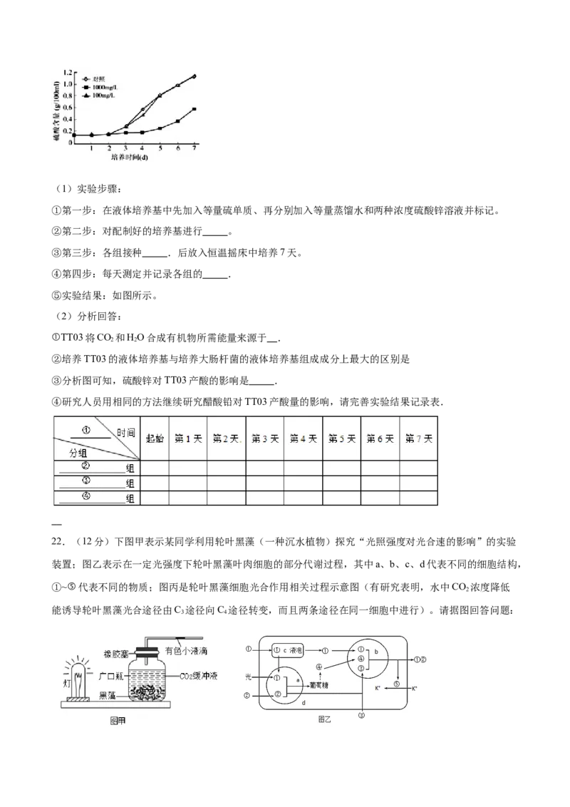 专题九实验与探究（测试）（原卷版）_2024年新高考资料_2.2024二轮复习_2024年高考生物二轮复习讲练测（新教材新高考）