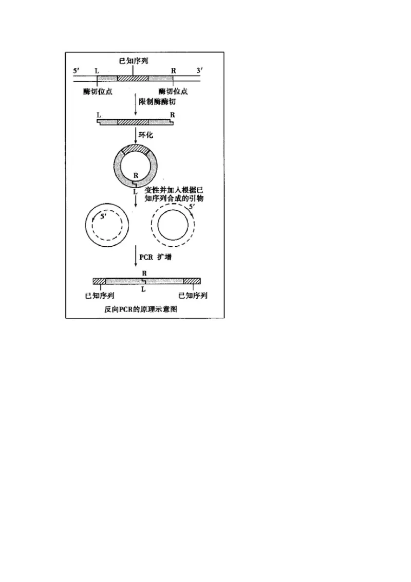 2022届高考生物二轮复习专题综合练（九）：生物技术实践（有解析）_新高考复习资料_2022年新高考复习资料_2022届高考生物二轮复习专题综合练（含解析）