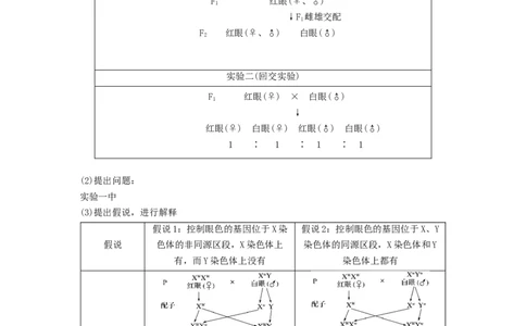 专题16基因在染色体上、伴性遗传和人类遗传病（串讲）（解析版）_2024年新高考资料_1.2024一轮复习_备战2024年高考生物一轮复习串讲精练（新高考专用）