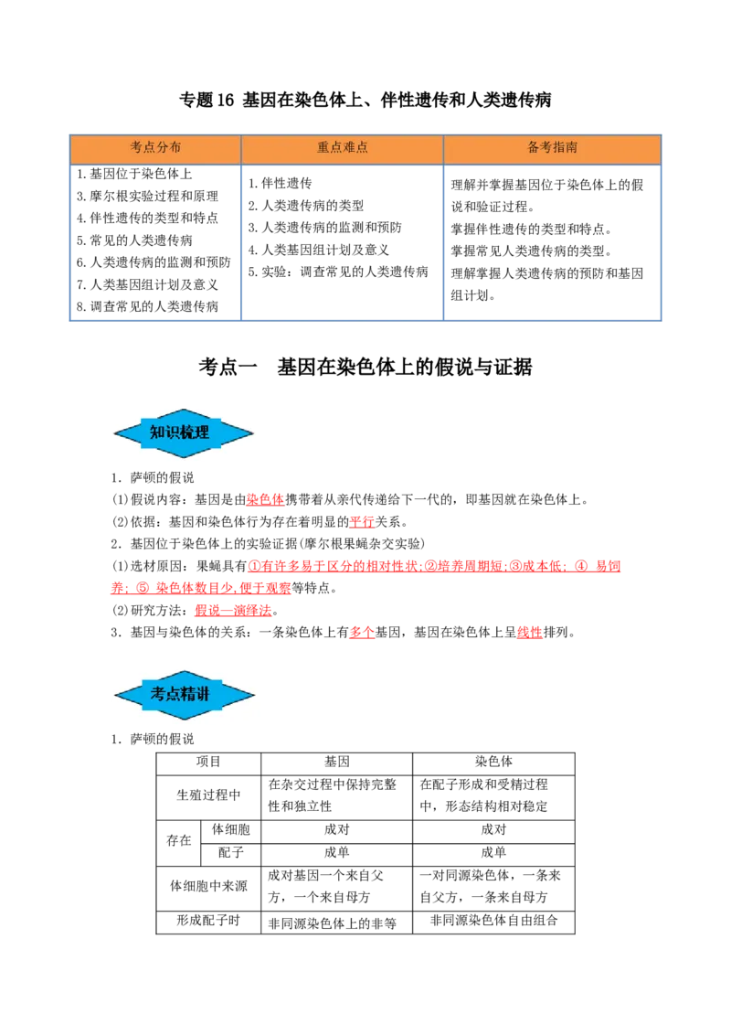 专题16基因在染色体上、伴性遗传和人类遗传病（串讲）（解析版）_2024年新高考资料_1.2024一轮复习_备战2024年高考生物一轮复习串讲精练（新高考专用）