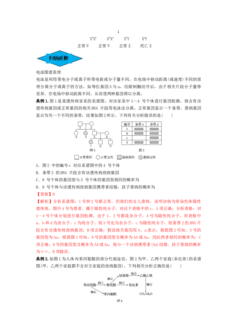 专题16基因在染色体上、伴性遗传和人类遗传病（串讲）（解析版）_2024年新高考资料_1.2024一轮复习_备战2024年高考生物一轮复习串讲精练（新高考专用）