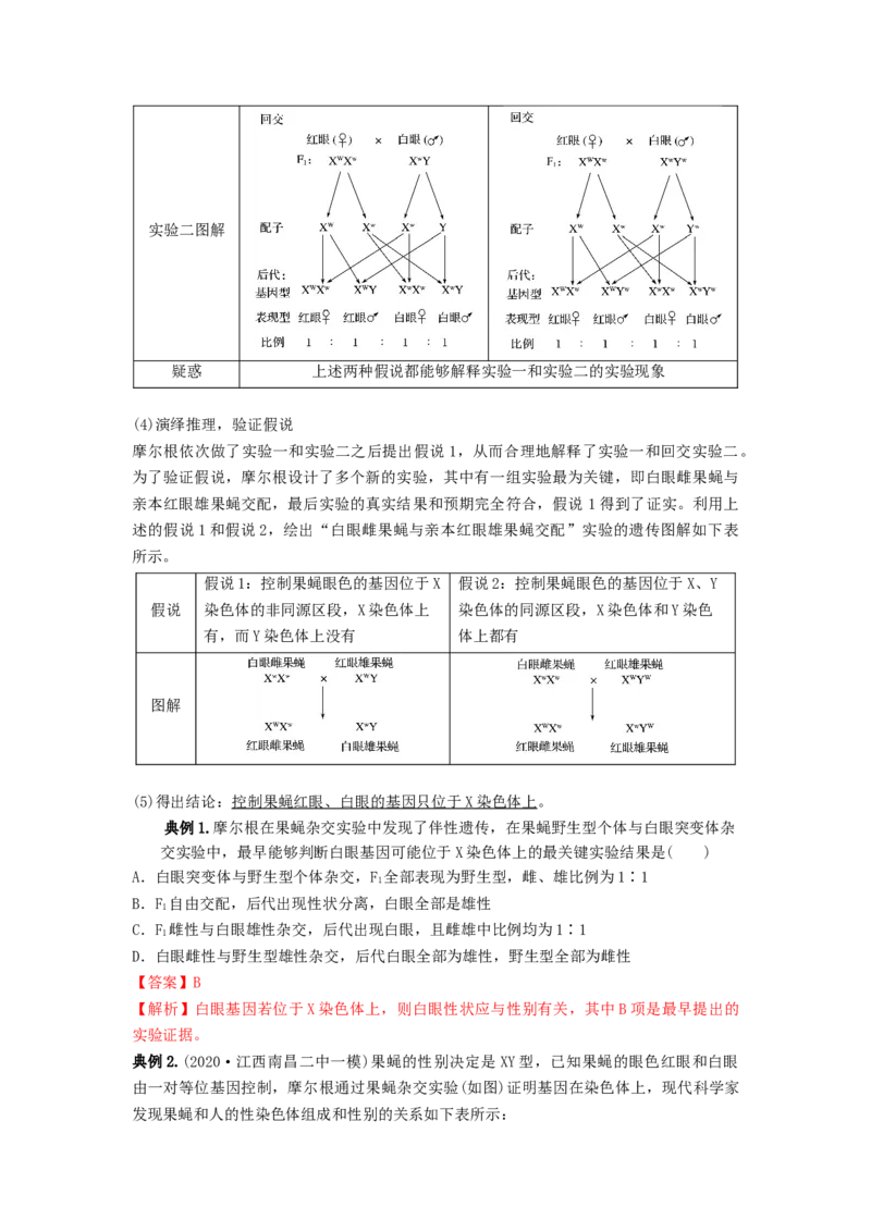 专题16基因在染色体上、伴性遗传和人类遗传病（串讲）（解析版）_2024年新高考资料_1.2024一轮复习_备战2024年高考生物一轮复习串讲精练（新高考专用）