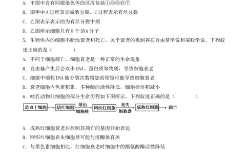 专题05细胞的生命历程（包括减数分裂）（原卷版）_2024年新高考资料_3.2024专项复习_备战2024年高考生物一轮复习重难点突破讲解与训练（新教材）