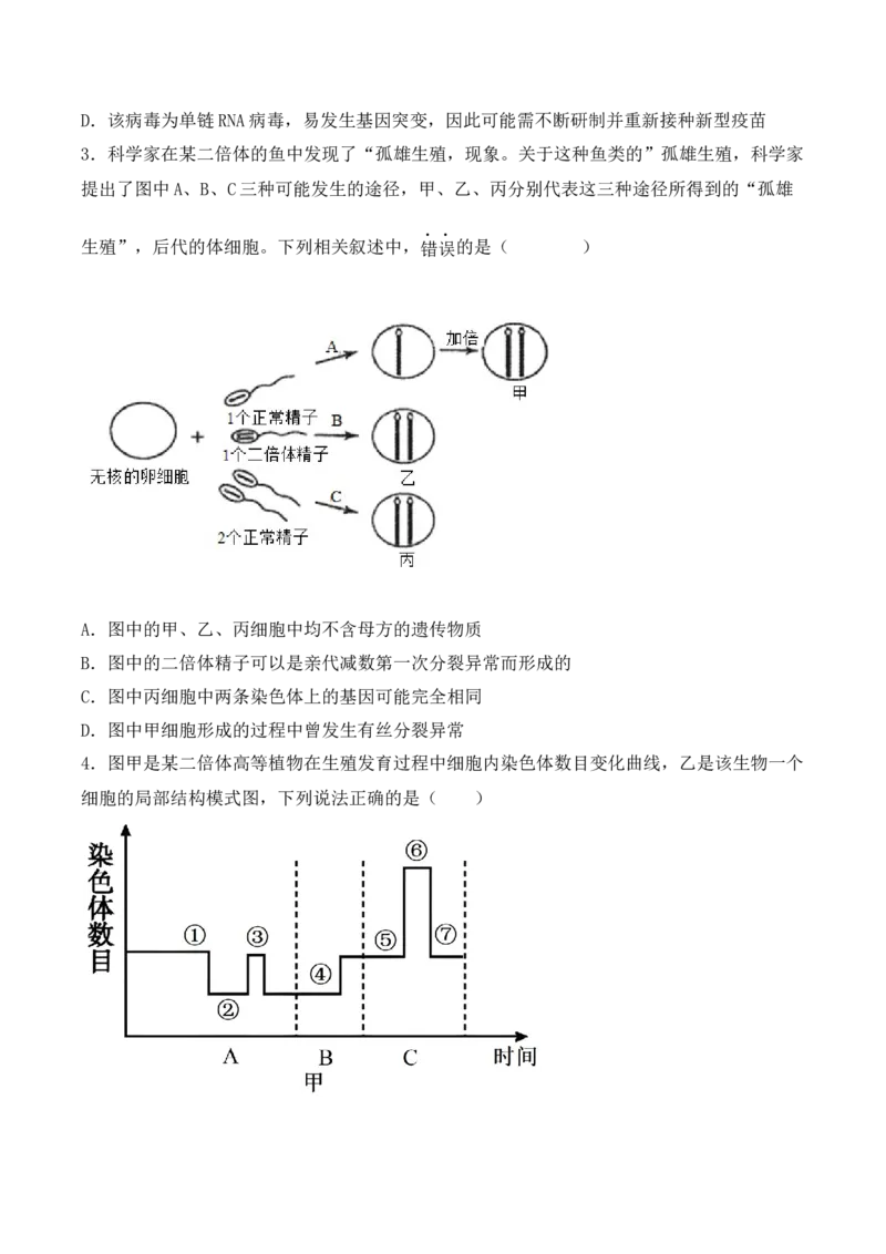 专题05细胞的生命历程（包括减数分裂）（原卷版）_2024年新高考资料_3.2024专项复习_备战2024年高考生物一轮复习重难点突破讲解与训练（新教材）
