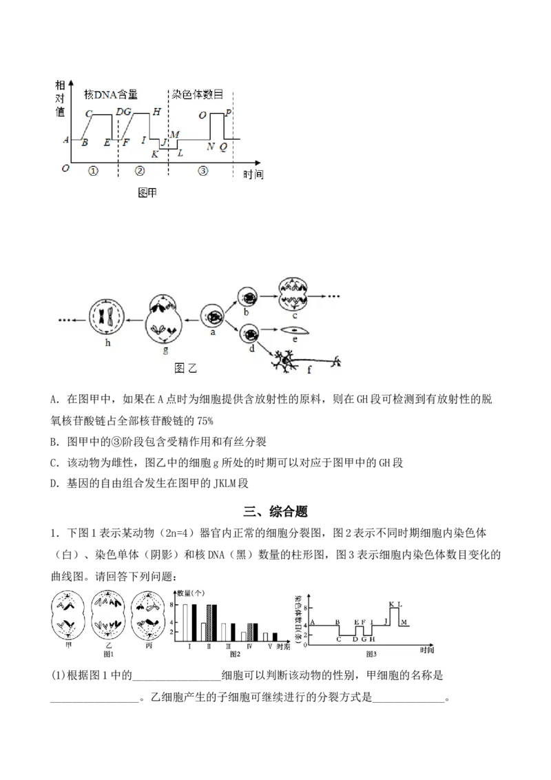 专题05细胞的生命历程（包括减数分裂）（原卷版）_2024年新高考资料_3.2024专项复习_备战2024年高考生物一轮复习重难点突破讲解与训练（新教材）