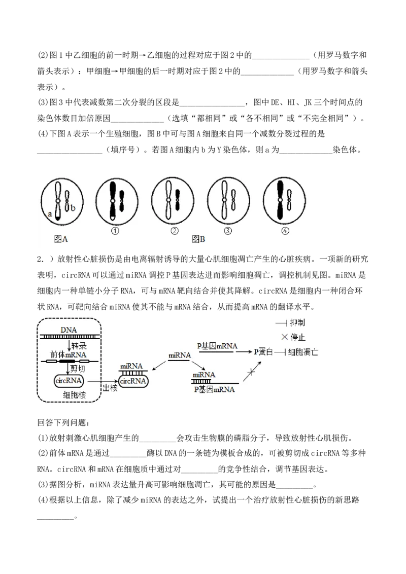 专题05细胞的生命历程（包括减数分裂）（原卷版）_2024年新高考资料_3.2024专项复习_备战2024年高考生物一轮复习重难点突破讲解与训练（新教材）