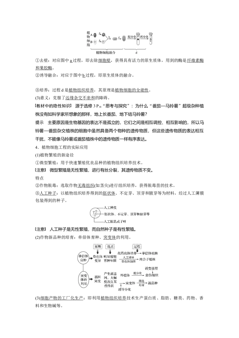 2022年高考生物一轮复习第10单元第34讲　细胞工程_新高考复习资料_2022年新高考复习资料_2022年一轮复习最新版_1.2022年高考生物一轮复习全国通用版