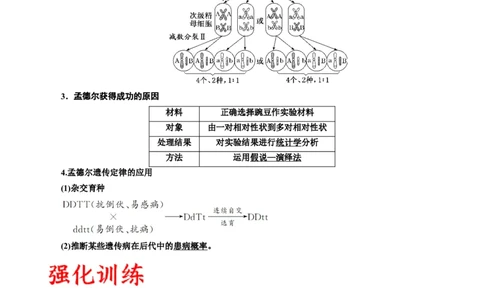 专题17自由组合（解析版)_2024年新高考资料_3.2024专项复习_备战2024年高考生物一轮复习重难点专项突破_专题17自由组合定律
