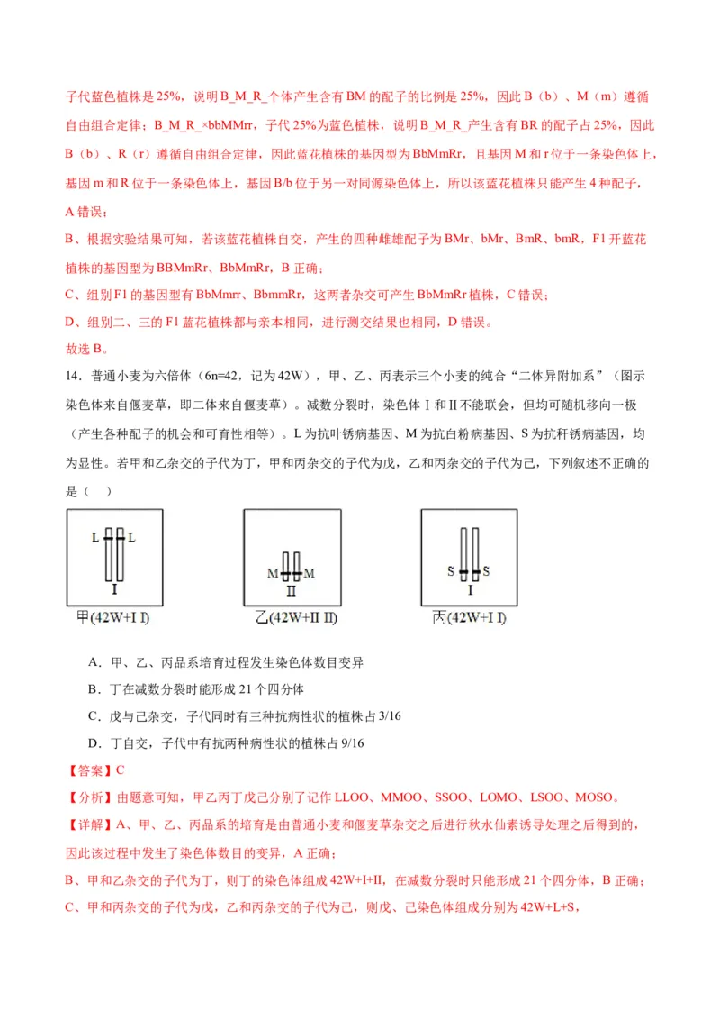 专题17自由组合（解析版)_2024年新高考资料_3.2024专项复习_备战2024年高考生物一轮复习重难点专项突破_专题17自由组合定律