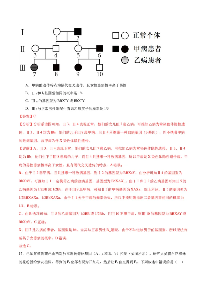 专题17自由组合（解析版)_2024年新高考资料_3.2024专项复习_备战2024年高考生物一轮复习重难点专项突破_专题17自由组合定律