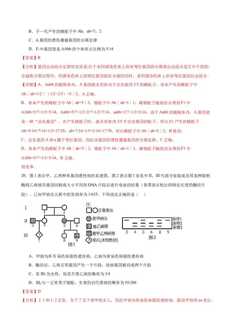 专题17自由组合（解析版)_2024年新高考资料_3.2024专项复习_备战2024年高考生物一轮复习重难点专项突破_专题17自由组合定律