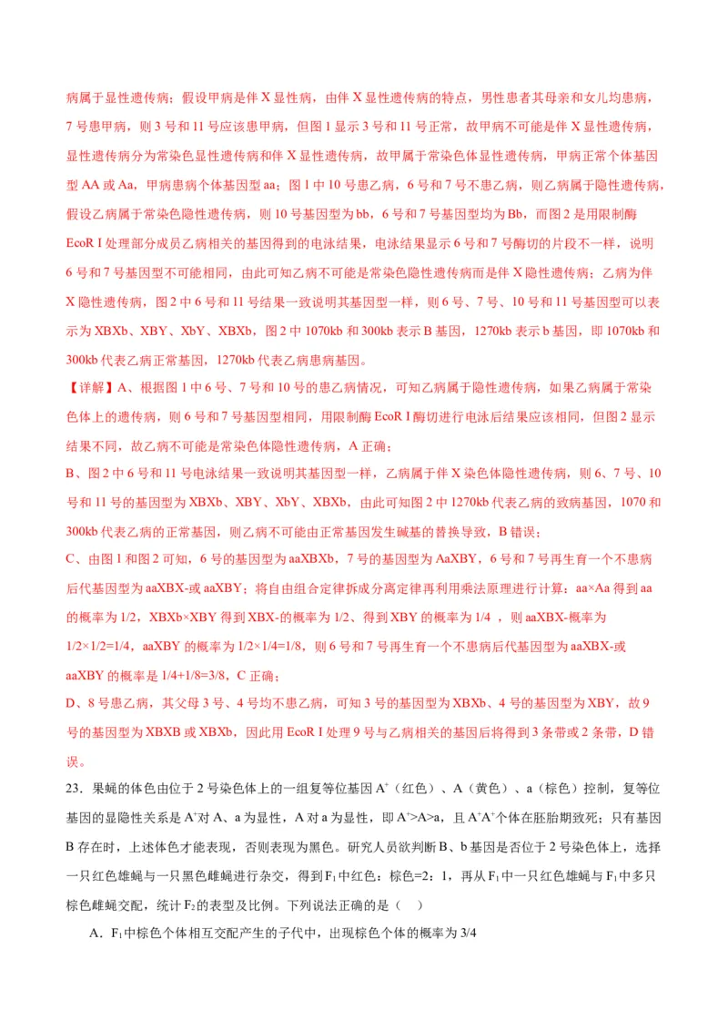 专题17自由组合（解析版)_2024年新高考资料_3.2024专项复习_备战2024年高考生物一轮复习重难点专项突破_专题17自由组合定律