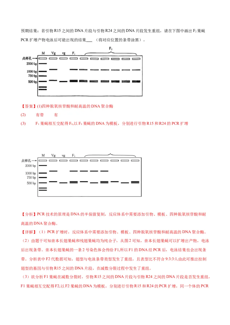 专题17自由组合（解析版)_2024年新高考资料_3.2024专项复习_备战2024年高考生物一轮复习重难点专项突破_专题17自由组合定律