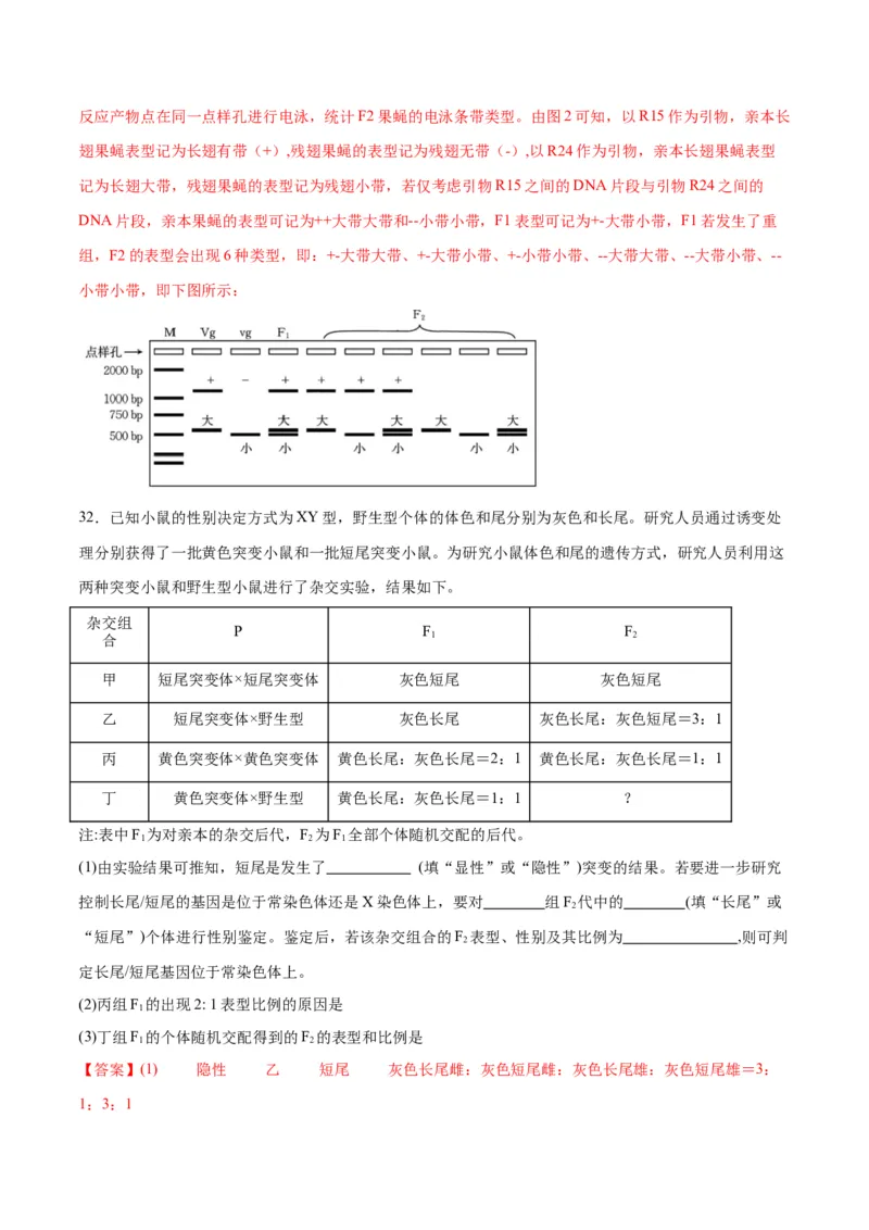 专题17自由组合（解析版)_2024年新高考资料_3.2024专项复习_备战2024年高考生物一轮复习重难点专项突破_专题17自由组合定律