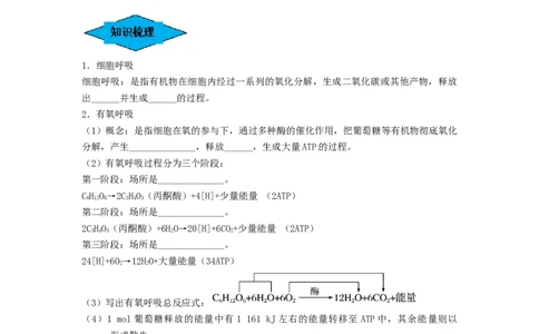 专题08细胞呼吸（串讲）（原卷版）_2024年新高考资料_1.2024一轮复习_备战2024年高考生物一轮复习串讲精练（新高考专用）