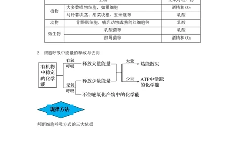 专题08细胞呼吸（串讲）（原卷版）_2024年新高考资料_1.2024一轮复习_备战2024年高考生物一轮复习串讲精练（新高考专用）