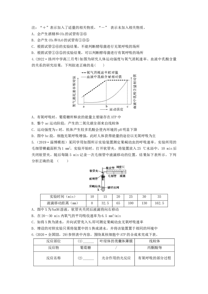专题08细胞呼吸（串讲）（原卷版）_2024年新高考资料_1.2024一轮复习_备战2024年高考生物一轮复习串讲精练（新高考专用）