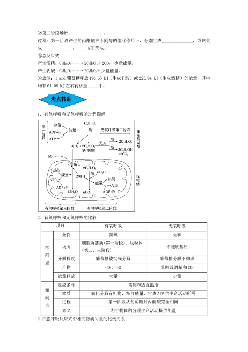 专题08细胞呼吸（串讲）（原卷版）_2024年新高考资料_1.2024一轮复习_备战2024年高考生物一轮复习串讲精练（新高考专用）