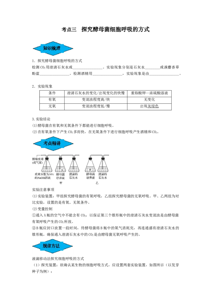 专题08细胞呼吸（串讲）（原卷版）_2024年新高考资料_1.2024一轮复习_备战2024年高考生物一轮复习串讲精练（新高考专用）
