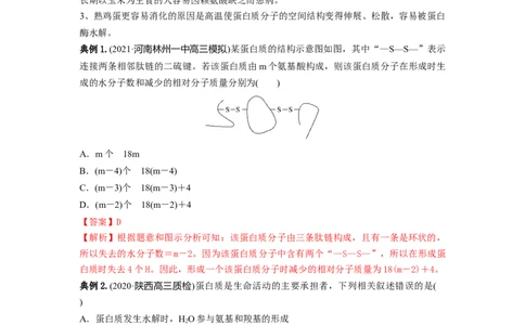专题03蛋白质和核酸（串讲）（解析版）_2024年新高考资料_1.2024一轮复习_备战2024年高考生物一轮复习串讲精练（新高考专用）