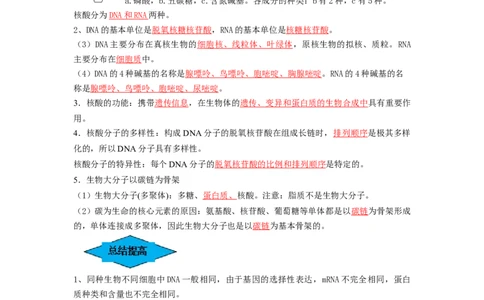 专题03蛋白质和核酸（串讲）（解析版）_2024年新高考资料_1.2024一轮复习_备战2024年高考生物一轮复习串讲精练（新高考专用）