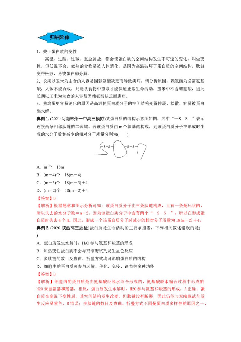 专题03蛋白质和核酸（串讲）（解析版）_2024年新高考资料_1.2024一轮复习_备战2024年高考生物一轮复习串讲精练（新高考专用）