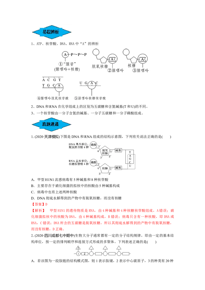 专题03蛋白质和核酸（串讲）（解析版）_2024年新高考资料_1.2024一轮复习_备战2024年高考生物一轮复习串讲精练（新高考专用）