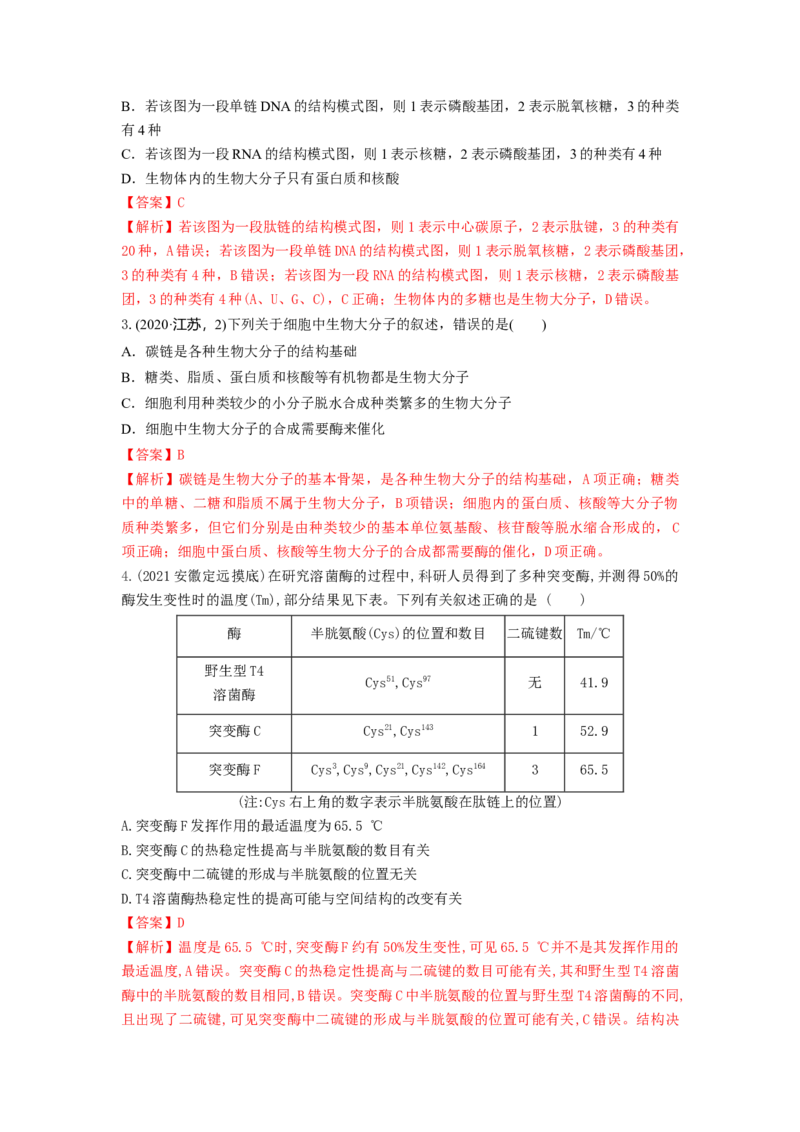 专题03蛋白质和核酸（串讲）（解析版）_2024年新高考资料_1.2024一轮复习_备战2024年高考生物一轮复习串讲精练（新高考专用）