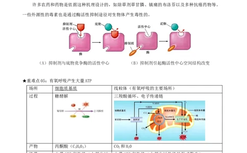 专题03光合作用及呼吸作用（原卷版）_2024年新高考资料_3.2024专项复习_2024年高考生物热点&middot;重点&middot;难点专练（上海专用）