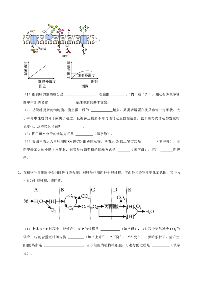 专题03光合作用及呼吸作用（原卷版）_2024年新高考资料_3.2024专项复习_2024年高考生物热点&middot;重点&middot;难点专练（上海专用）