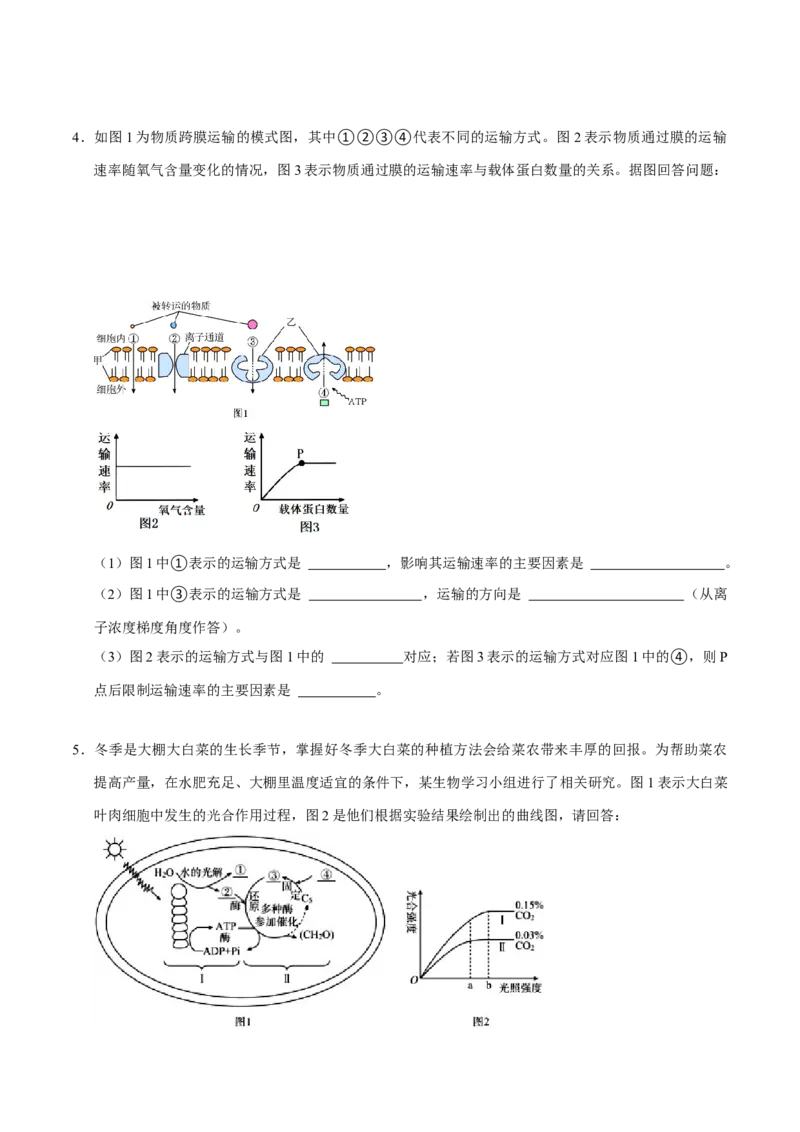 专题03光合作用及呼吸作用（原卷版）_2024年新高考资料_3.2024专项复习_2024年高考生物热点&middot;重点&middot;难点专练（上海专用）