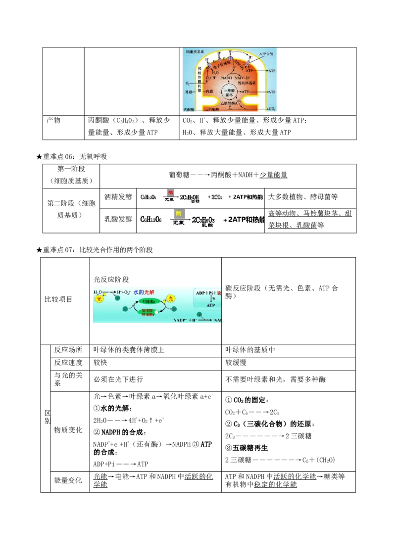 专题03光合作用及呼吸作用（原卷版）_2024年新高考资料_3.2024专项复习_2024年高考生物热点&middot;重点&middot;难点专练（上海专用）