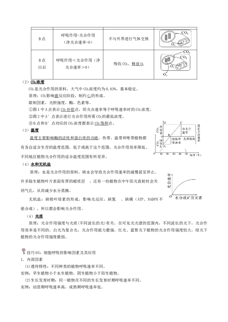 专题03光合作用及呼吸作用（原卷版）_2024年新高考资料_3.2024专项复习_2024年高考生物热点&middot;重点&middot;难点专练（上海专用）