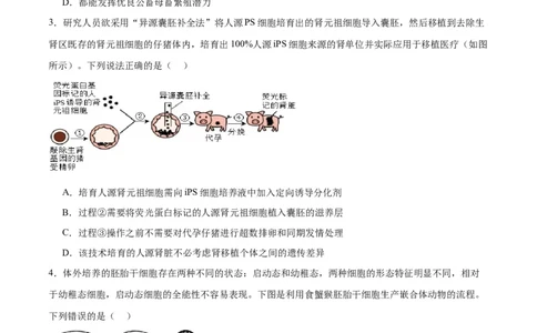 专题42胚胎工程（原卷版）_2024年新高考资料_3.2024专项复习_备战2024年高考生物一轮复习重难点专项突破_专题42胚胎工程-备战2024年高考生物一轮复习重难点专项突破