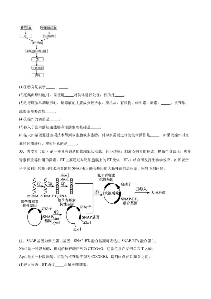 专题42胚胎工程（原卷版）_2024年新高考资料_3.2024专项复习_备战2024年高考生物一轮复习重难点专项突破_专题42胚胎工程-备战2024年高考生物一轮复习重难点专项突破