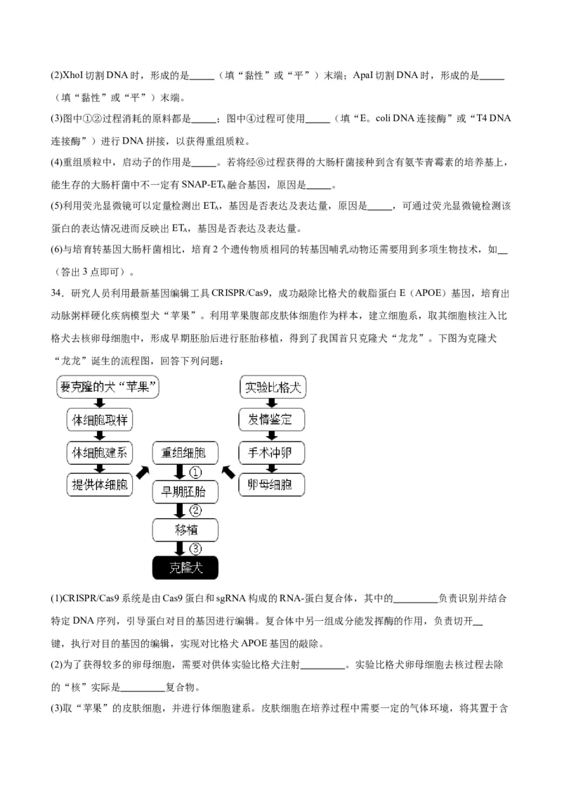 专题42胚胎工程（原卷版）_2024年新高考资料_3.2024专项复习_备战2024年高考生物一轮复习重难点专项突破_专题42胚胎工程-备战2024年高考生物一轮复习重难点专项突破