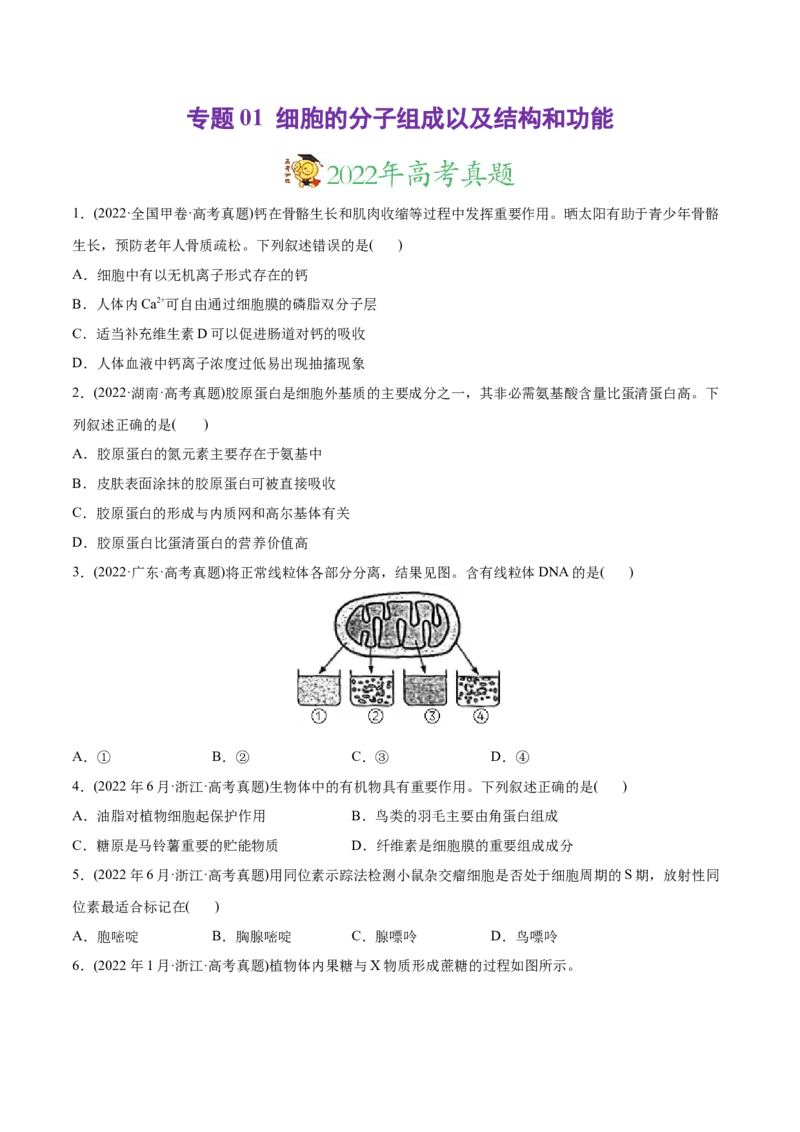 专题01细胞的分子组成以及结构和功能-2022年高考真题和模拟题生物分专题训练（学生版）_2024年新高考资料_1.2024一轮复习_赠2022年高考生物真题与模拟题分类