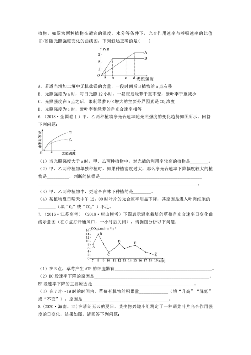 专题10光合作用与细胞呼吸的综合应用（串讲）（原卷版）_2024年新高考资料_1.2024一轮复习_备战2024年高考生物一轮复习串讲精练（新高考专用）