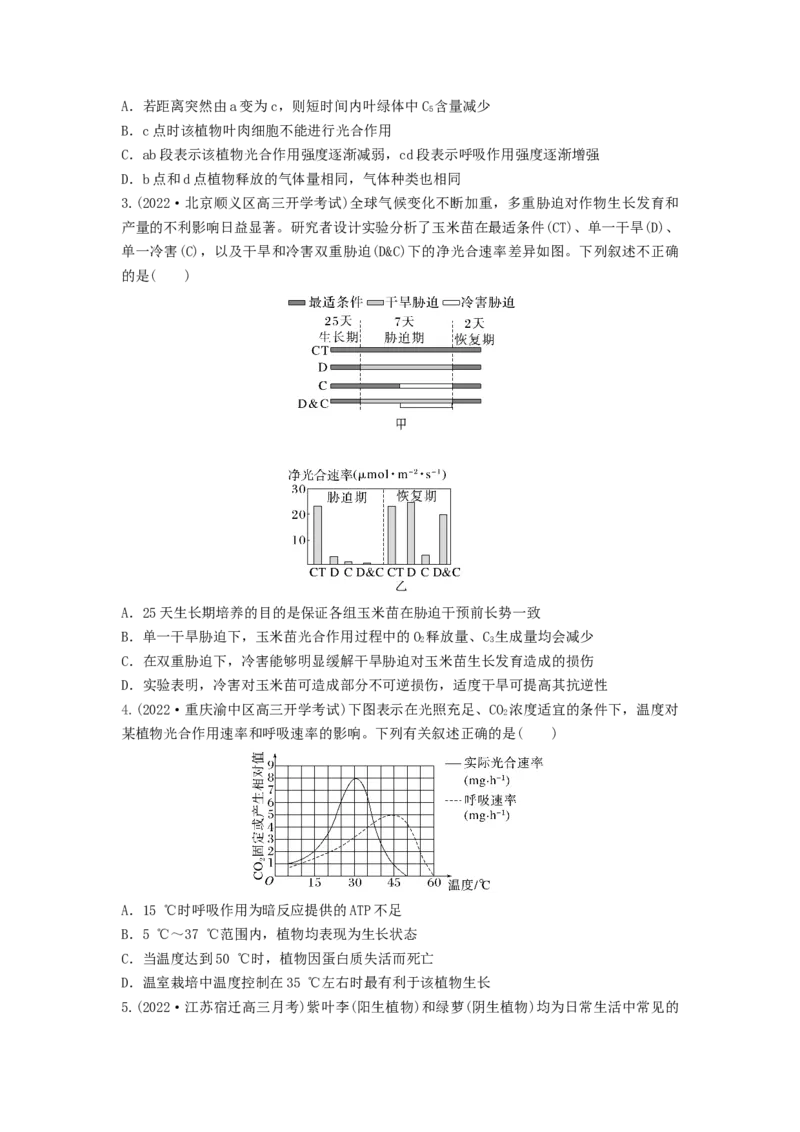 专题10光合作用与细胞呼吸的综合应用（串讲）（原卷版）_2024年新高考资料_1.2024一轮复习_备战2024年高考生物一轮复习串讲精练（新高考专用）