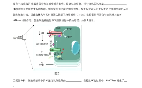 专题08植物生命活动调节（限时检测）_2024年新高考资料_3.2024专项复习_2024年高考生物热点&middot;重点&middot;难点专练（新高考专用）
