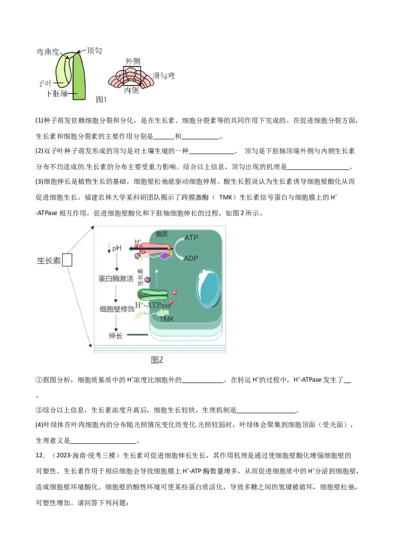 专题08植物生命活动调节（限时检测）_2024年新高考资料_3.2024专项复习_2024年高考生物热点&middot;重点&middot;难点专练（新高考专用）