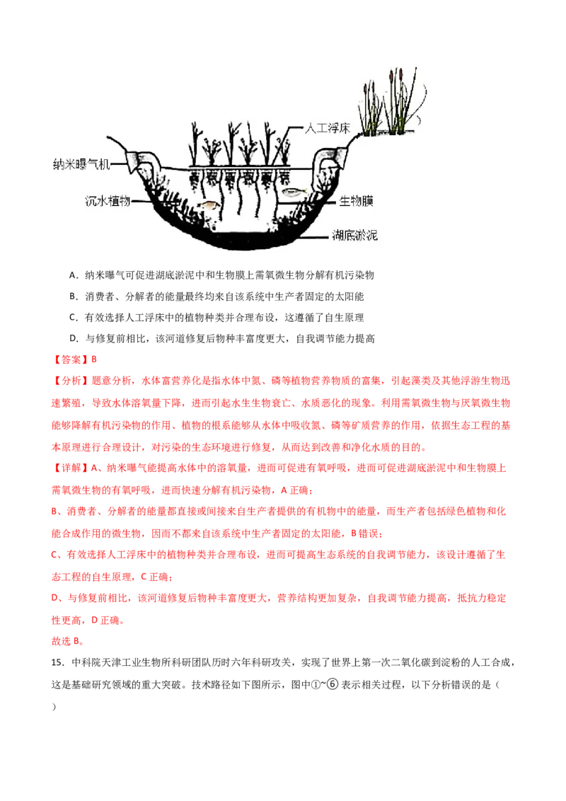 单元检测卷09生物与环境（解析版）_2024年新高考资料_1.2024一轮复习_2024年高考生物一轮复习考点通关卷（新高考通用）