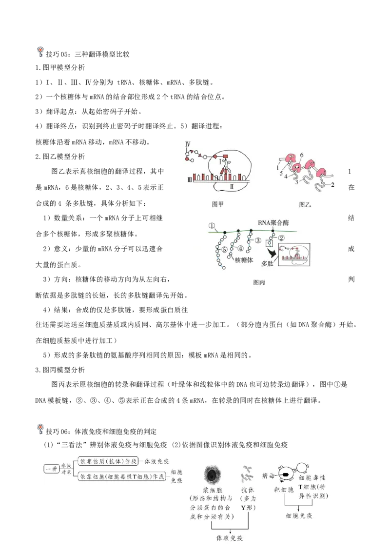 专题05动物的调节（解析版）_2024年新高考资料_3.2024专项复习_2024年高考生物热点&middot;重点&middot;难点专练（上海专用）