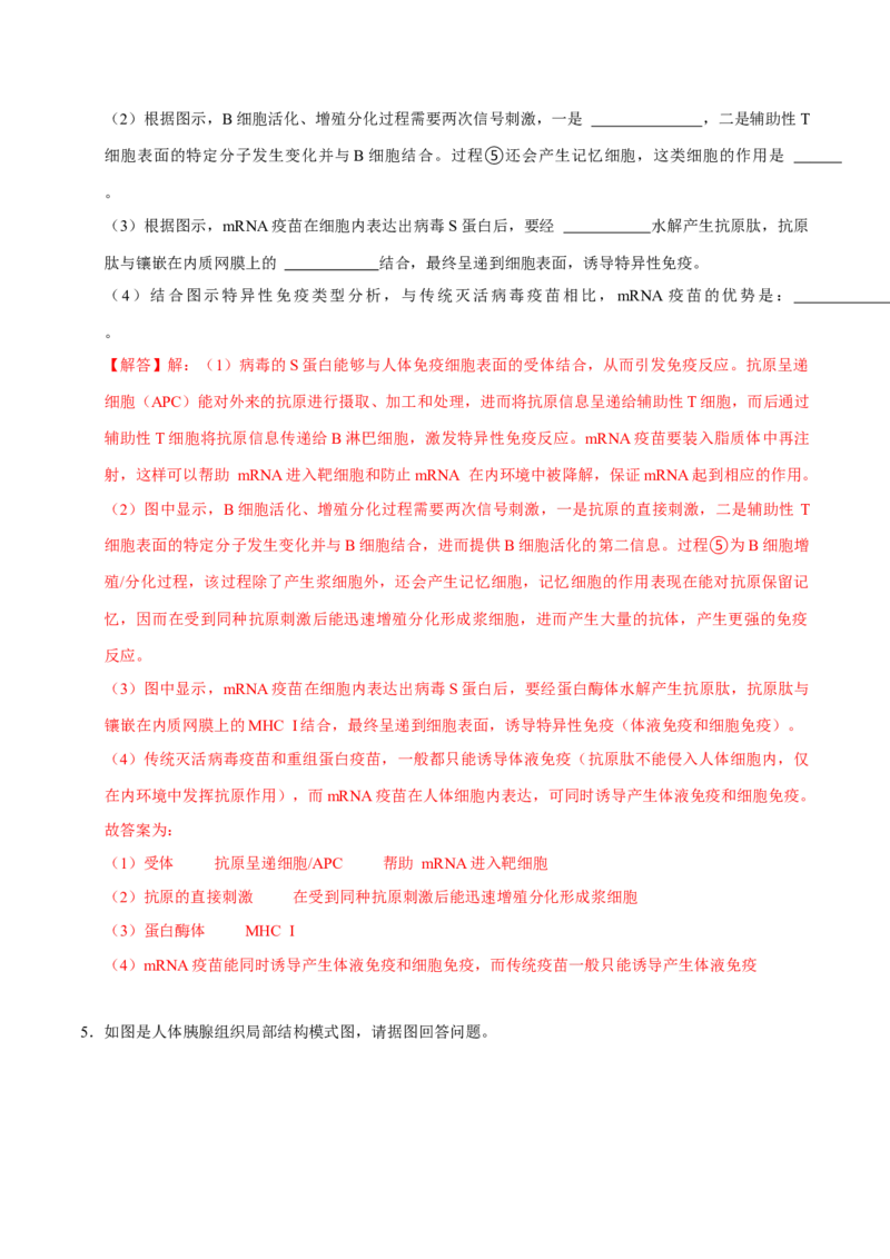 专题05动物的调节（解析版）_2024年新高考资料_3.2024专项复习_2024年高考生物热点&middot;重点&middot;难点专练（上海专用）