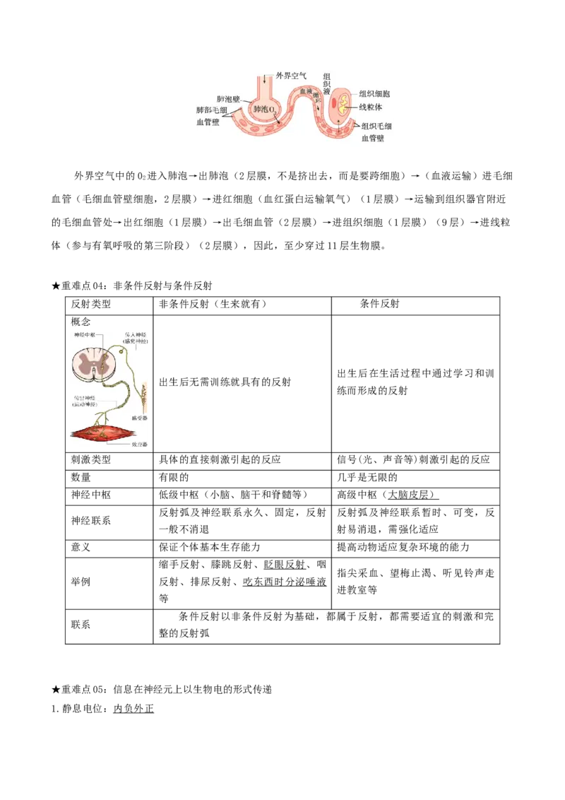 专题05动物的调节（解析版）_2024年新高考资料_3.2024专项复习_2024年高考生物热点&middot;重点&middot;难点专练（上海专用）