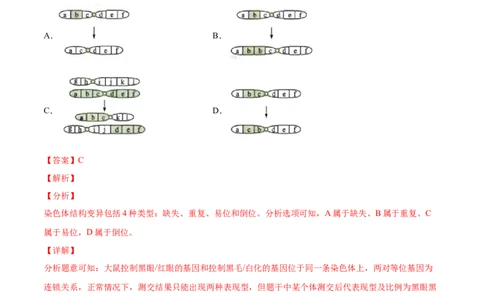 专题08生物的变异和进化-2022年高考真题和模拟题生物分专题训练（教师版含解析）_2024年新高考资料_1.2024一轮复习_赠2022年高考生物真题与模拟题分类